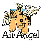 airangel logo